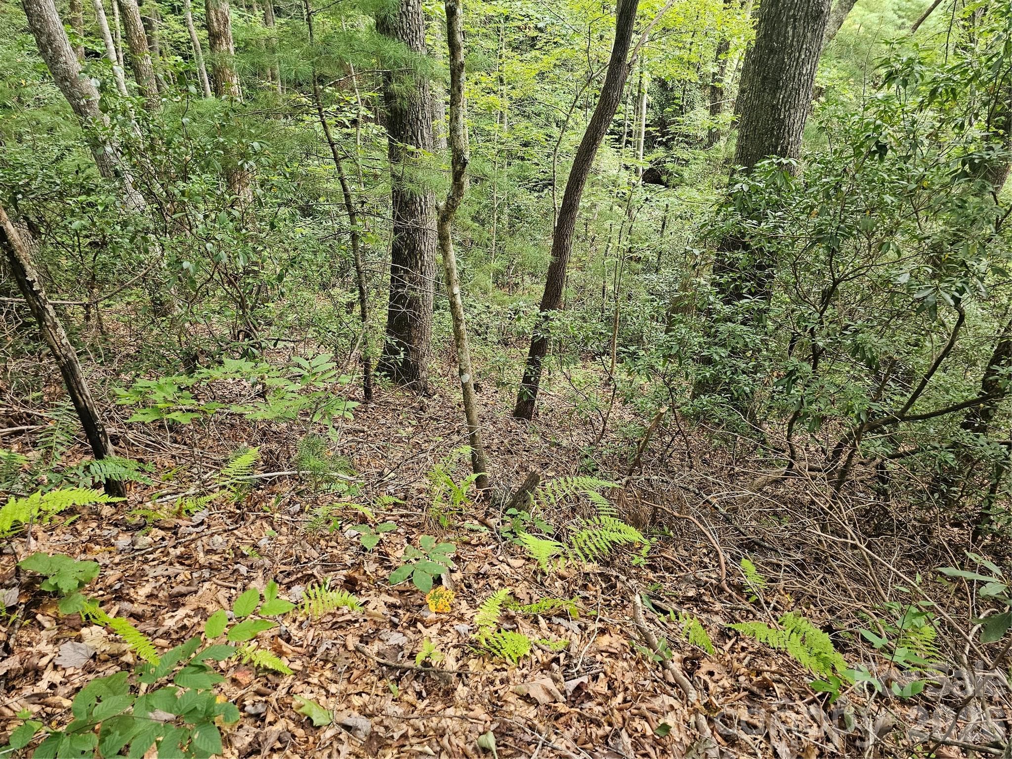 Lot at Hendersonville, photo 12 of 92