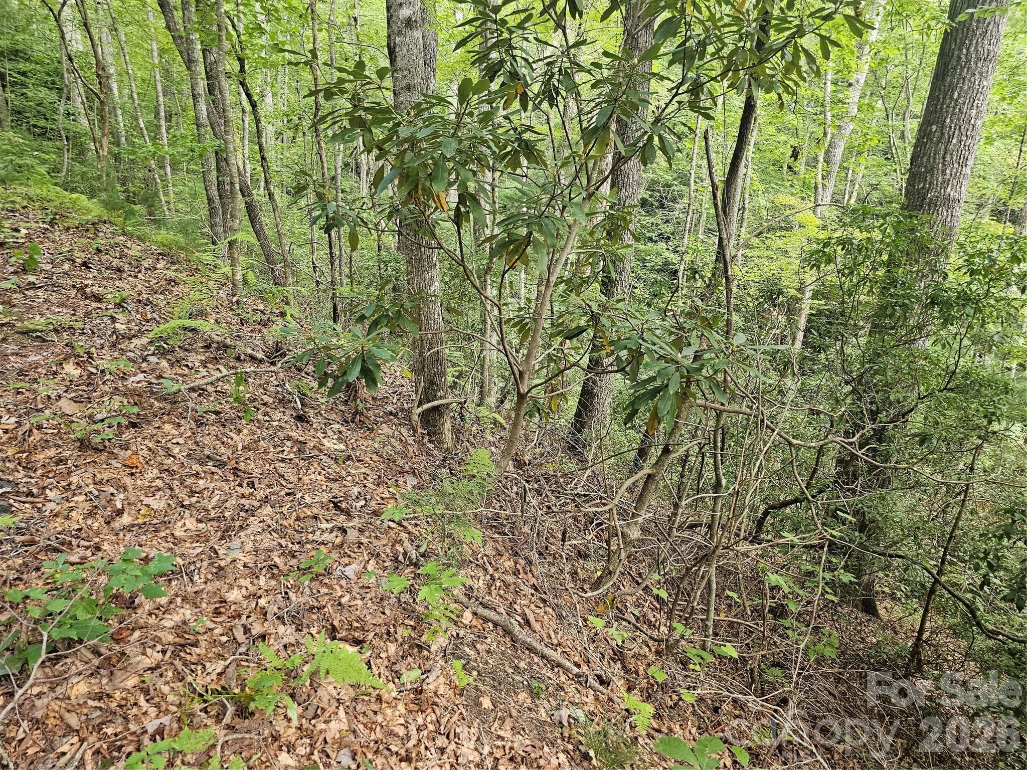 Lot at Hendersonville, photo 16 of 92