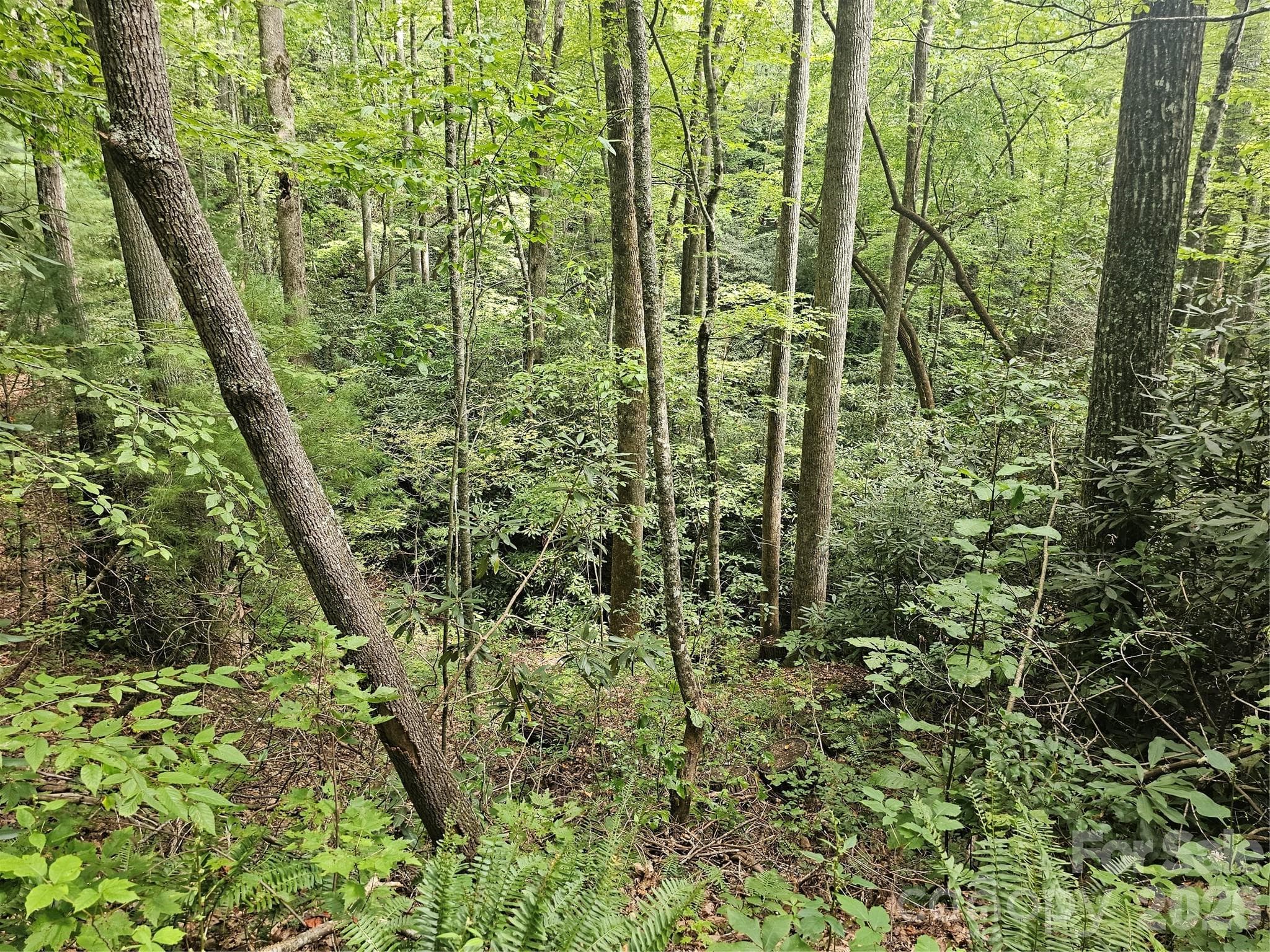 Lot at Hendersonville, photo 18 of 92