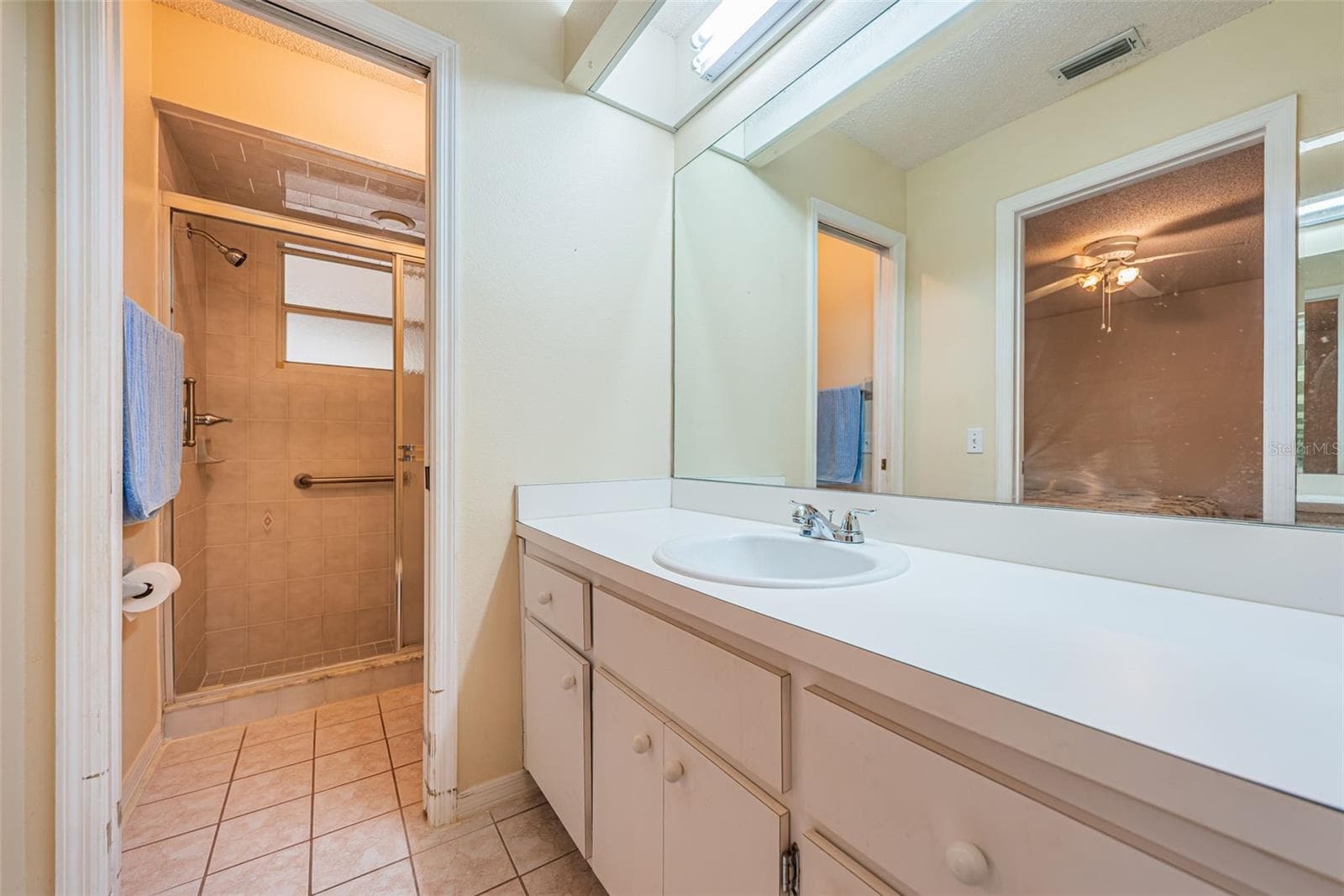 Primary Suite Bath - New Sink - 812 HIGH POINT CT, TARPON SPRINGS