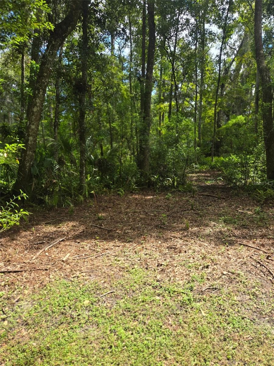 Manufactured Home at 19995 MANECKE RD, BROOKSVILLE, photo 22 of 25