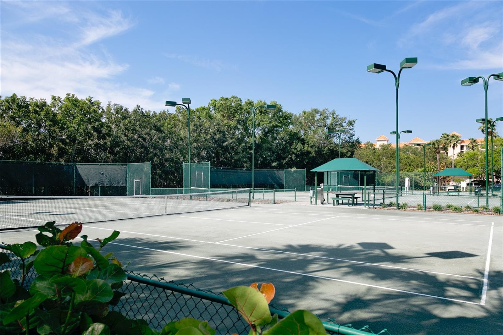 3 Har-Tru Tennis Courts - 4750 DOLPHIN CAY LN S #107, ST PETERSBURG