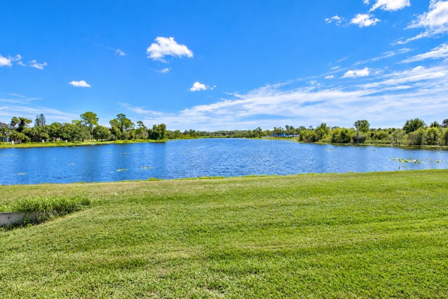 Single Family Residence at 269 SADDLEWORTH PL, LAKE MARY, photo 38 of 43