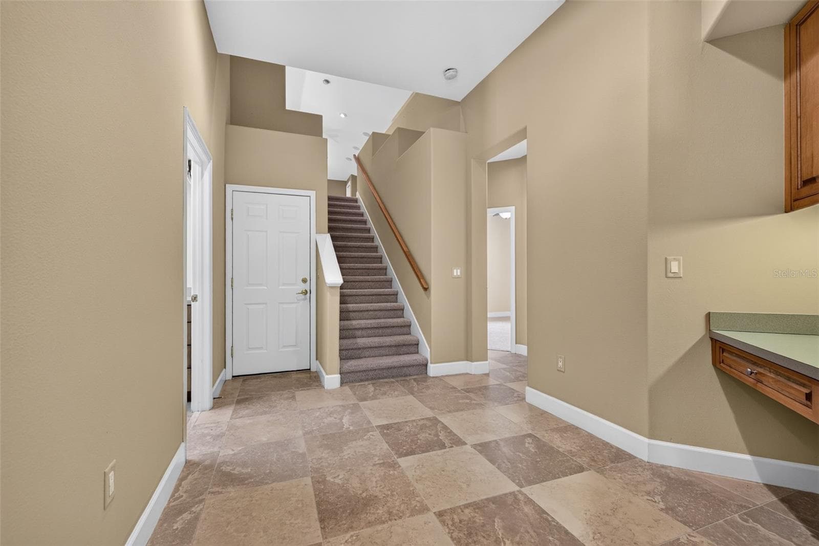 Single Family Residence at 1516 CANOPY OAKS BLVD, PALM HARBOR, photo 39 of 67