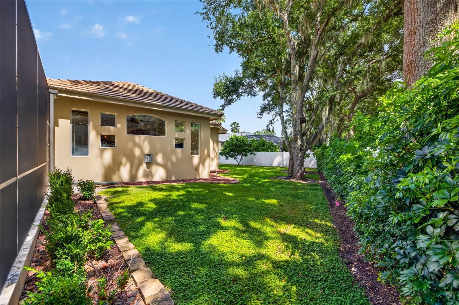 Large backyard with fruit trees - 1516 CANOPY OAKS BLVD, PALM HARBOR