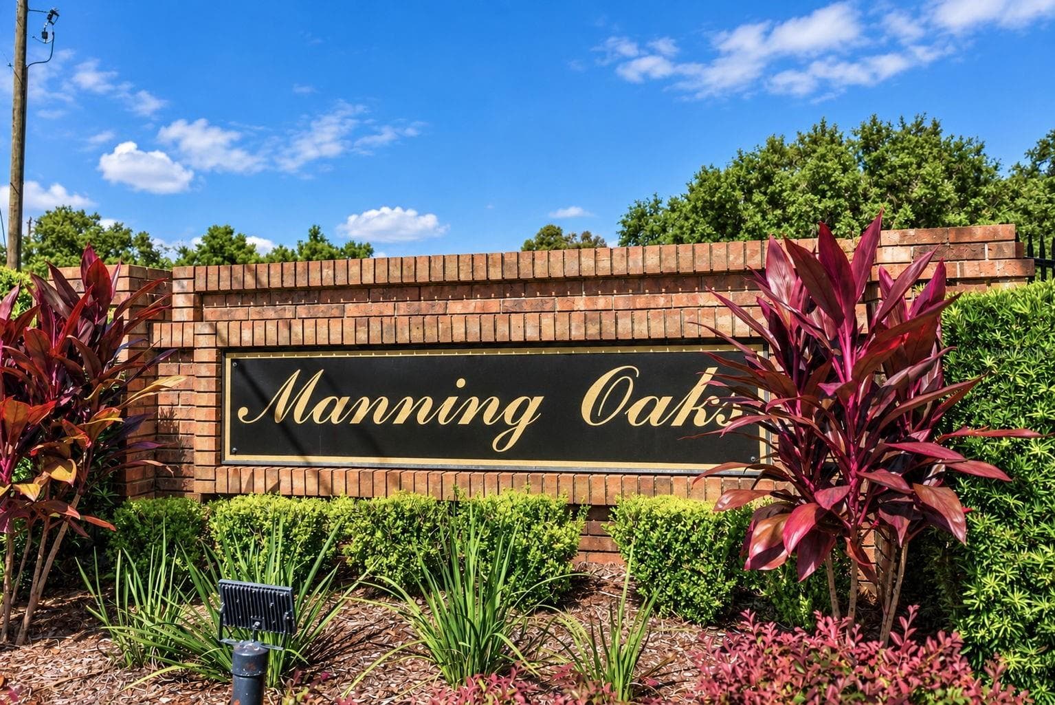 Gated community - 1516 CANOPY OAKS BLVD, PALM HARBOR