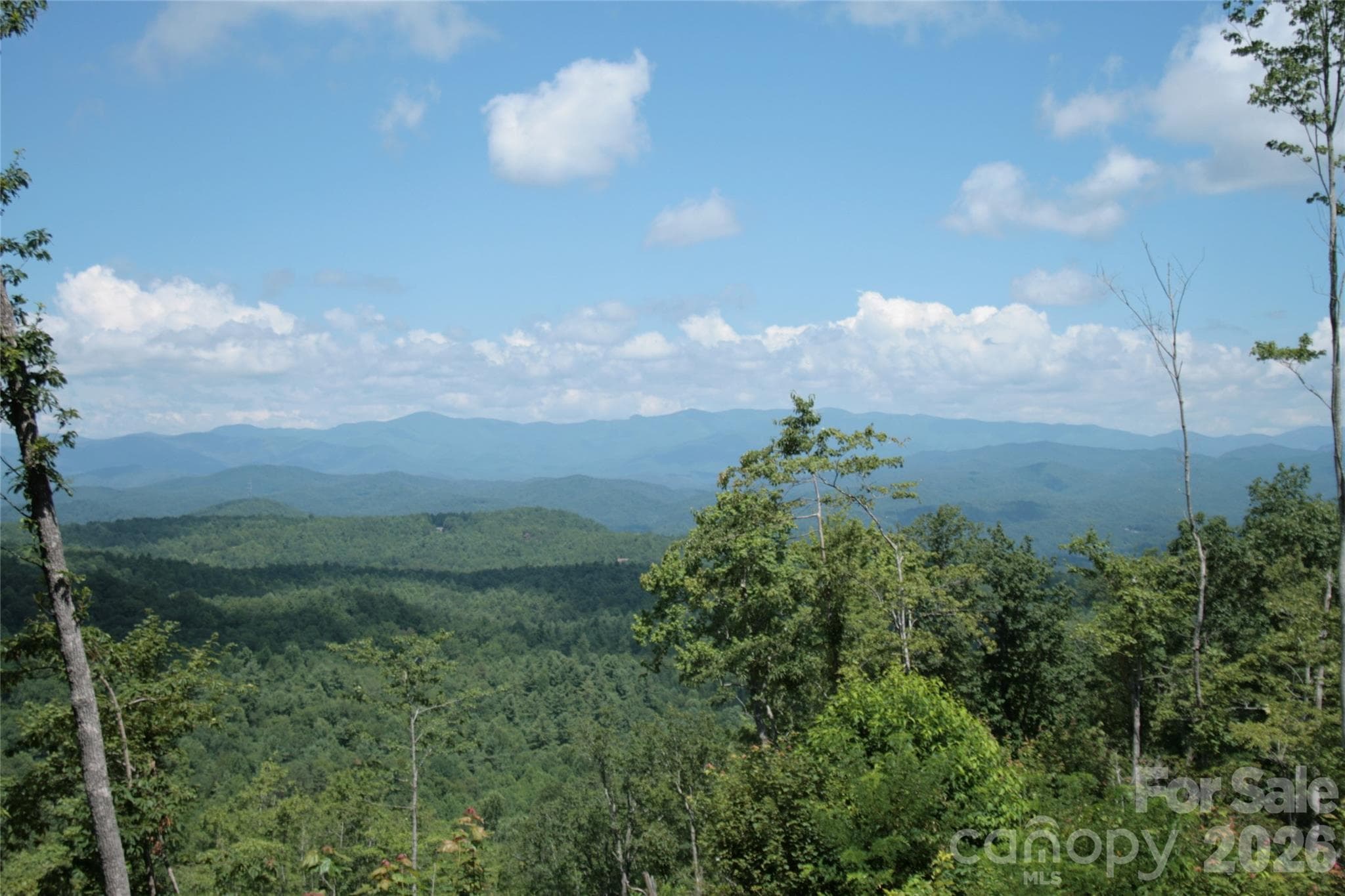 Acreage at TBD Nancy Mountain Road, Rosman, photo 3 of 44