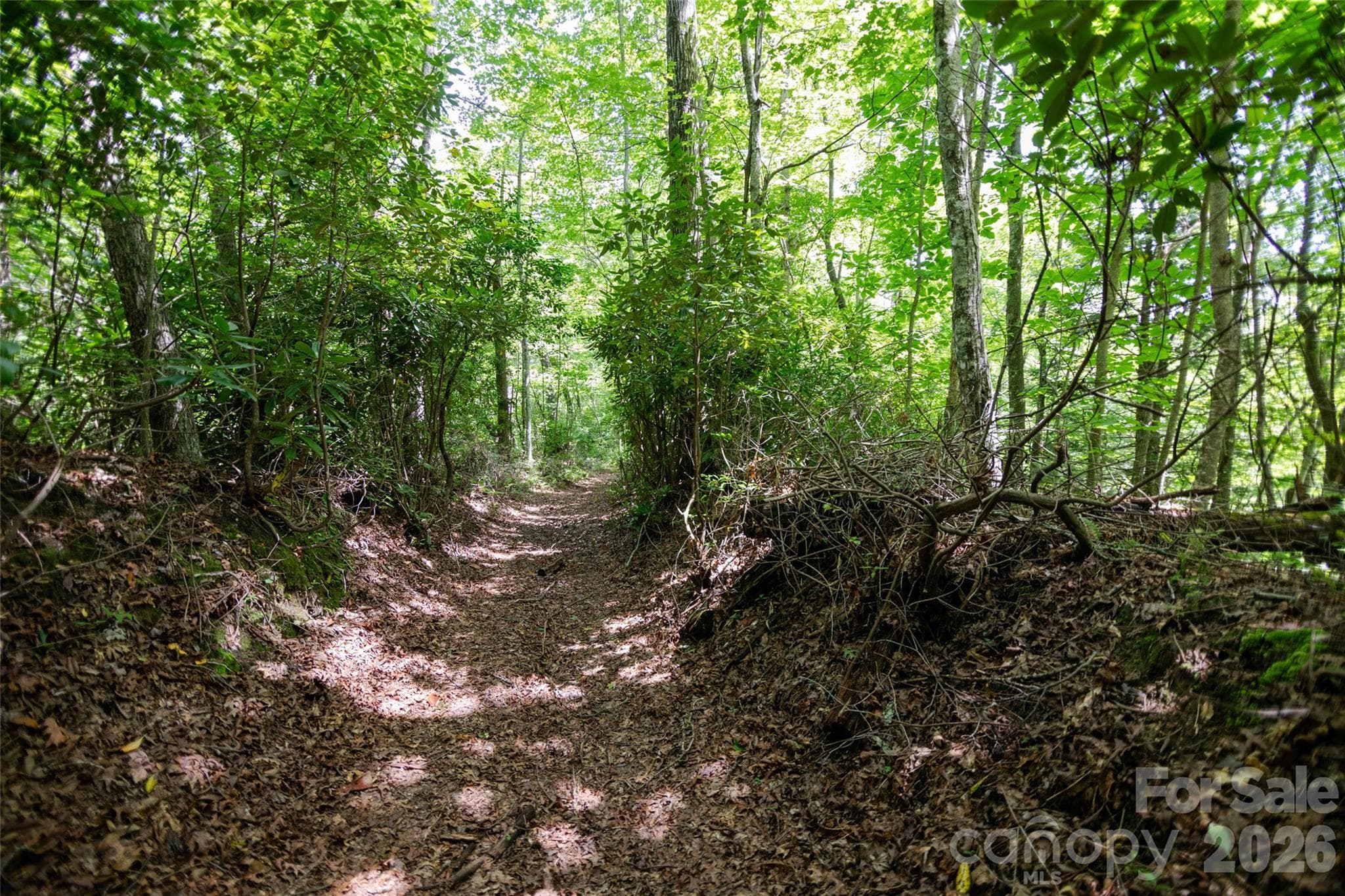 Acreage at TBD Nancy Mountain Road, Rosman, photo 5 of 44