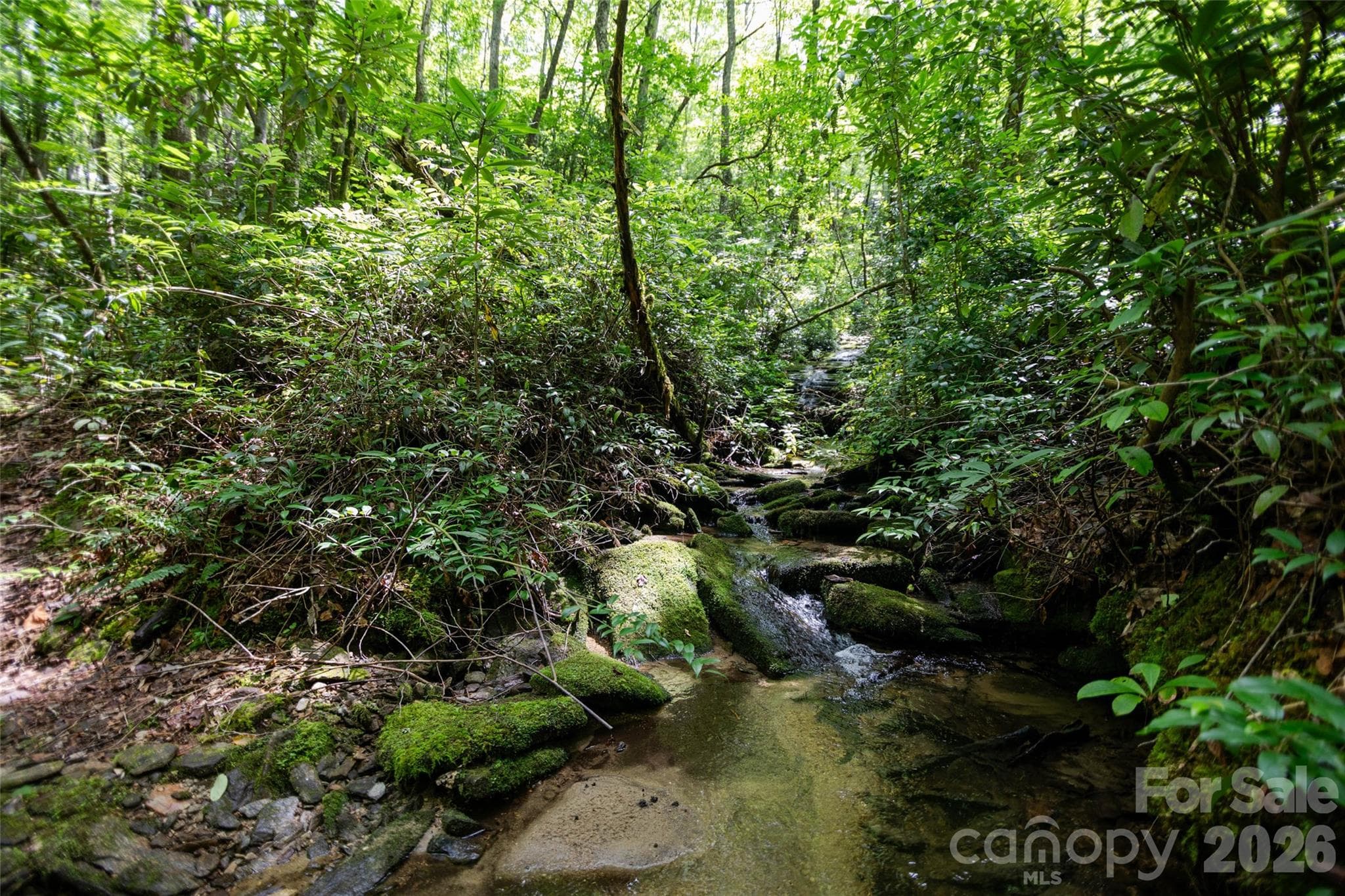 Acreage at TBD Nancy Mountain Road, Rosman, photo 6 of 44
