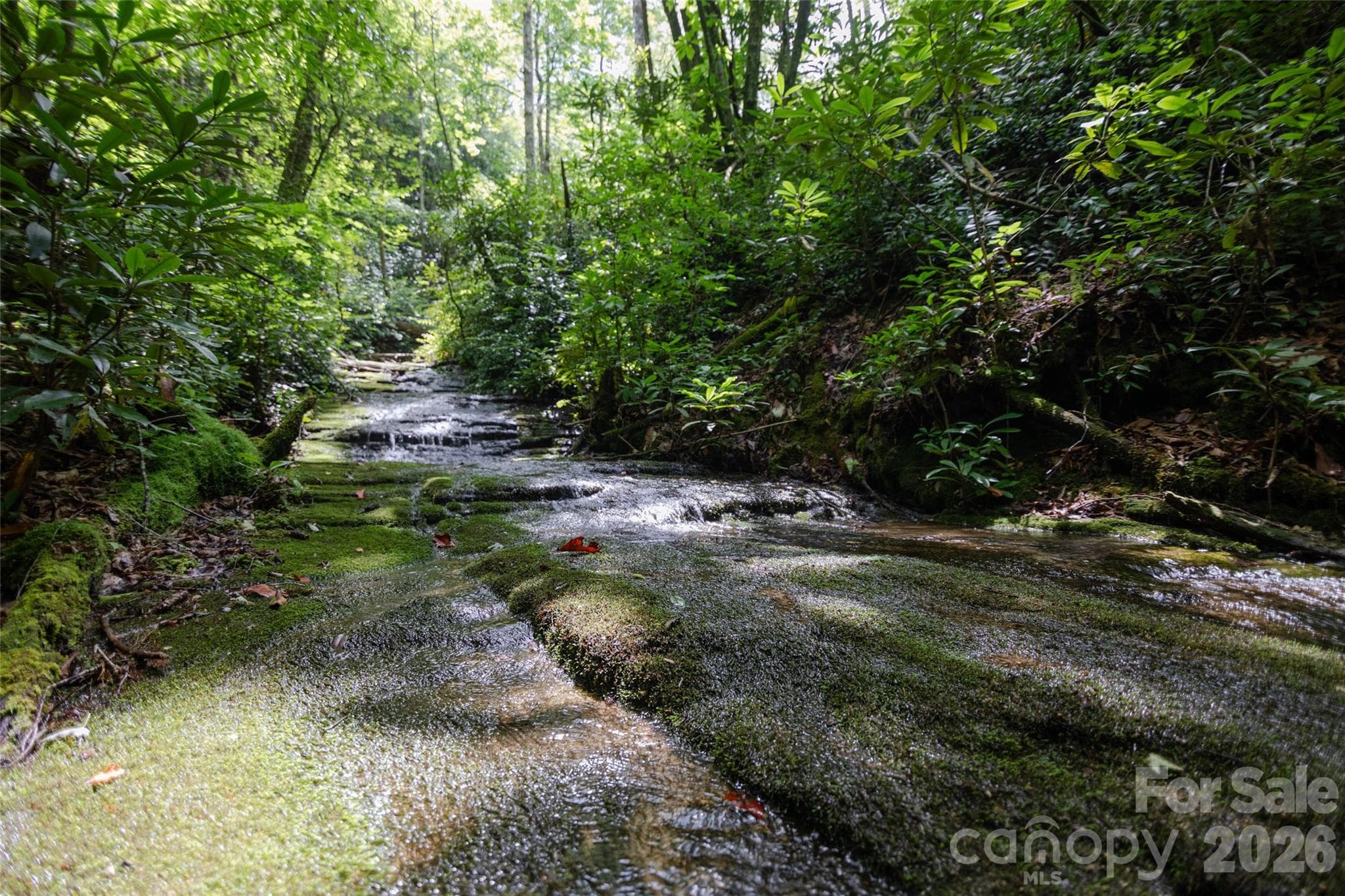 Acreage at TBD Nancy Mountain Road, Rosman, photo 20 of 44