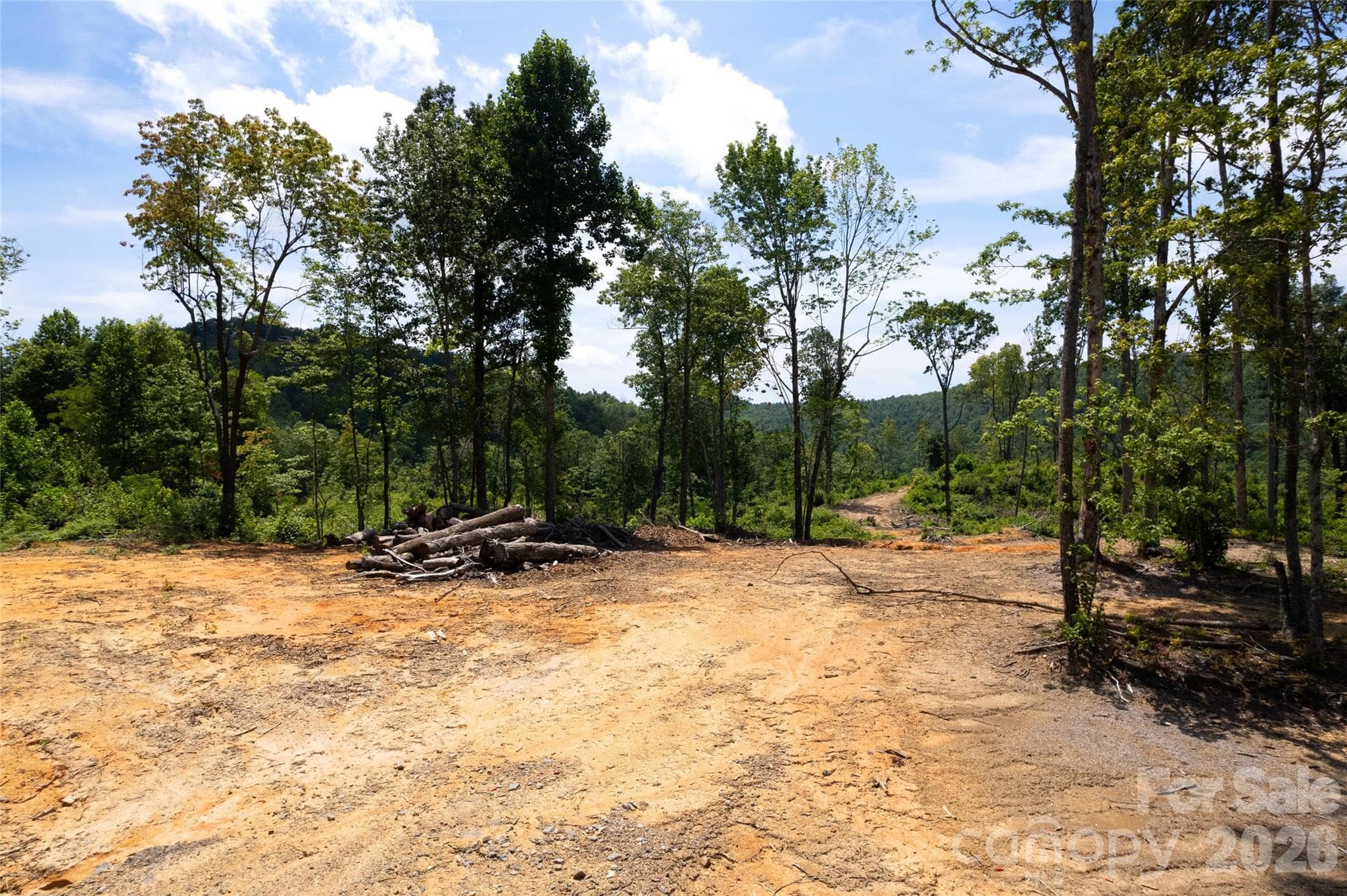 Acreage at TBD Nancy Mountain Road, Rosman, photo 23 of 44