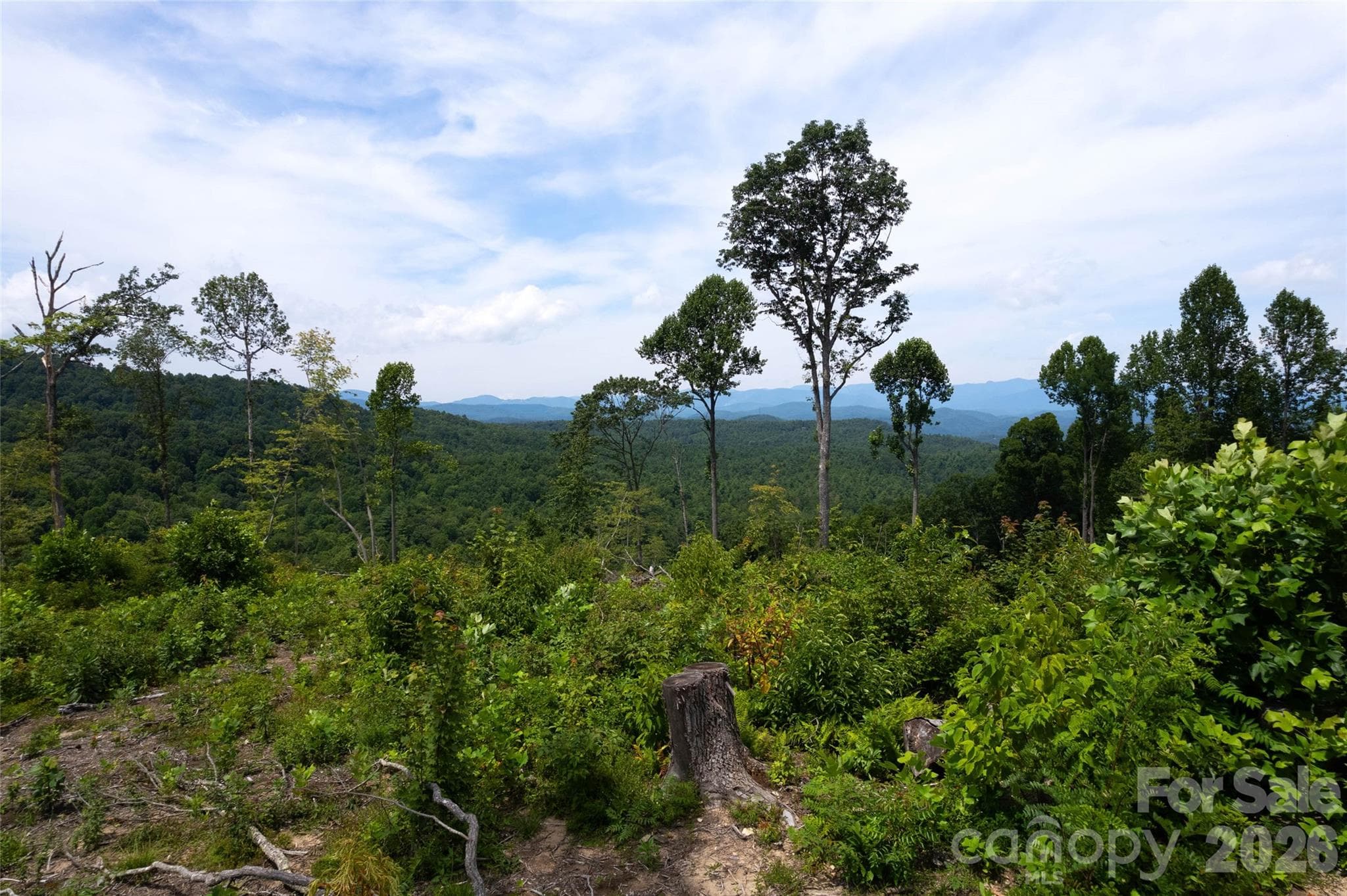 Acreage at TBD Nancy Mountain Road, Rosman, photo 32 of 44