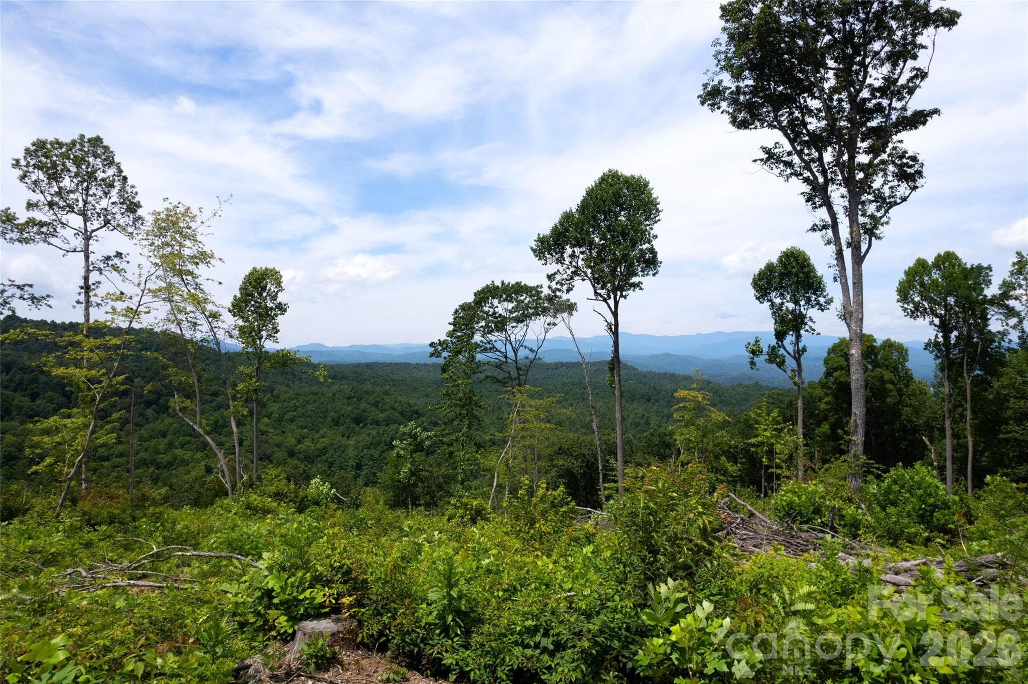Acreage at TBD Nancy Mountain Road, Rosman, photo 33 of 44