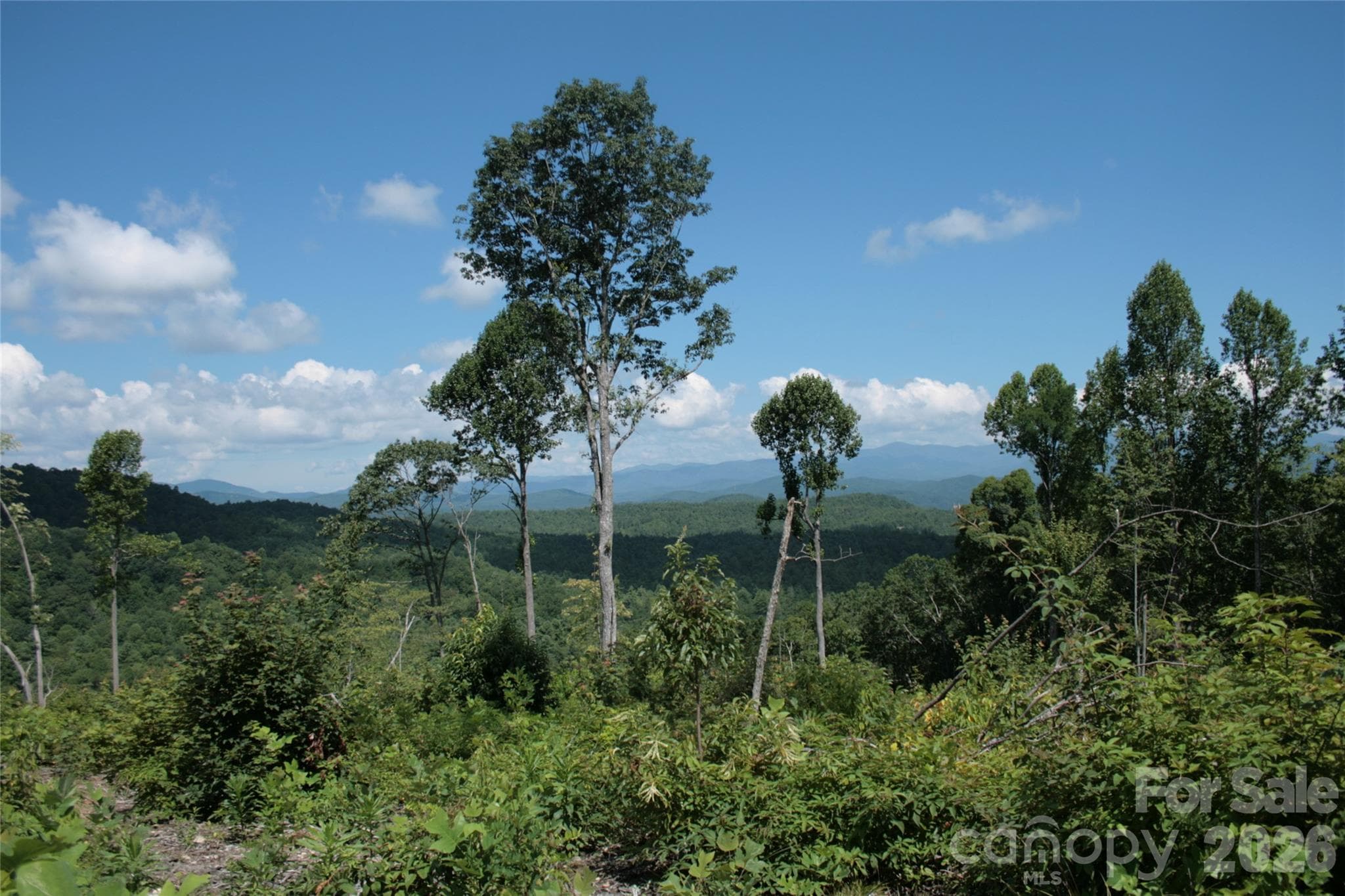Acreage at TBD Nancy Mountain Road, Rosman, photo 35 of 44