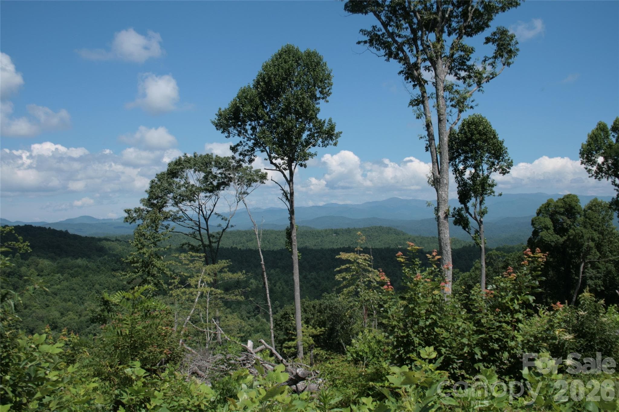 Acreage at TBD Nancy Mountain Road, Rosman, photo 37 of 44