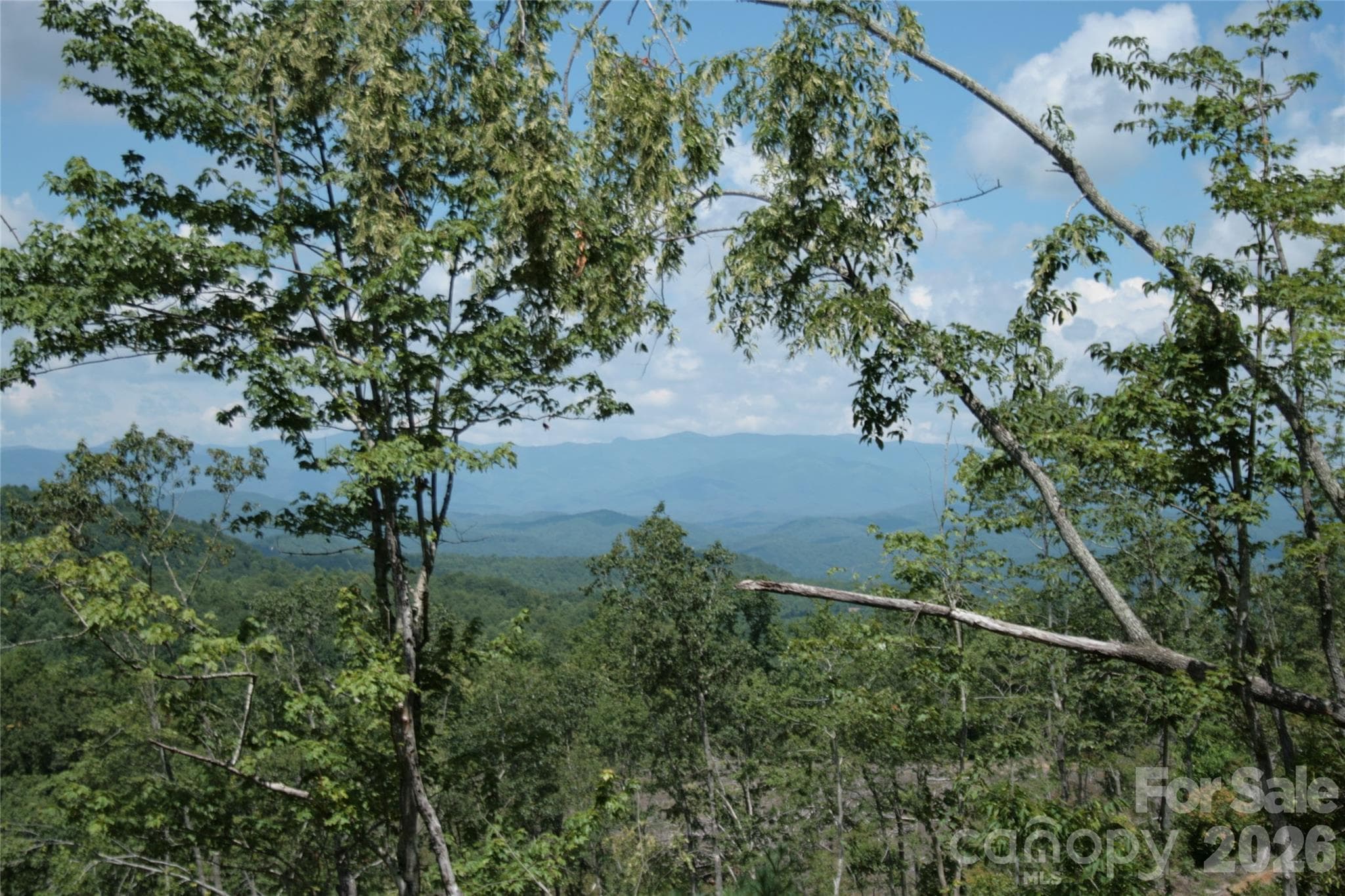 Acreage at TBD Nancy Mountain Road, Rosman, photo 39 of 44