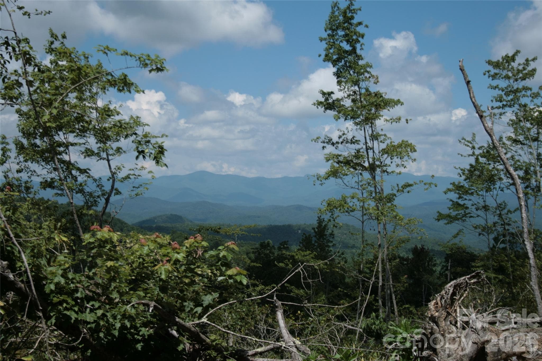 Acreage at TBD Nancy Mountain Road, Rosman, photo 40 of 44