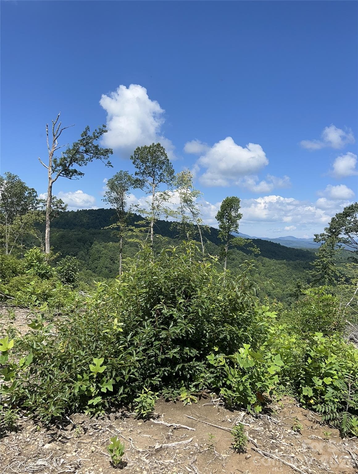 Acreage at TBD Nancy Mountain Road, Rosman, photo 41 of 44