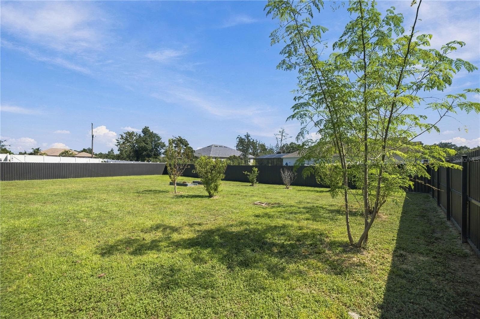 Yard - 4431 SW 110TH LN, OCALA
