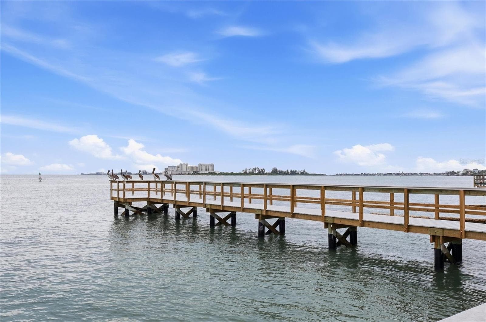 Pelicans in a row! - 4532 OCEAN BLVD #209, SARASOTA