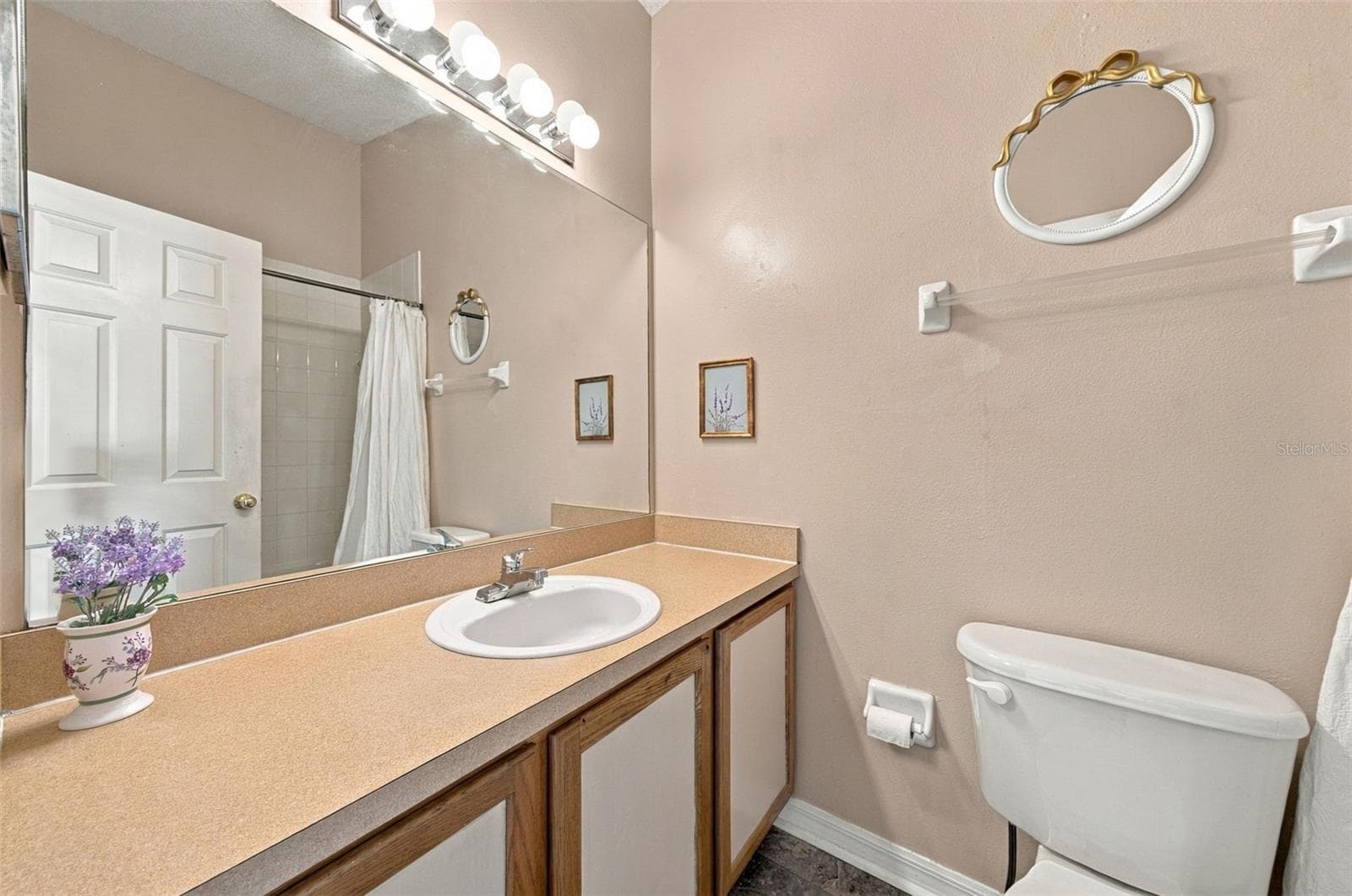 BATH 1 - 10429 HERON LAKE DR, RIVERVIEW