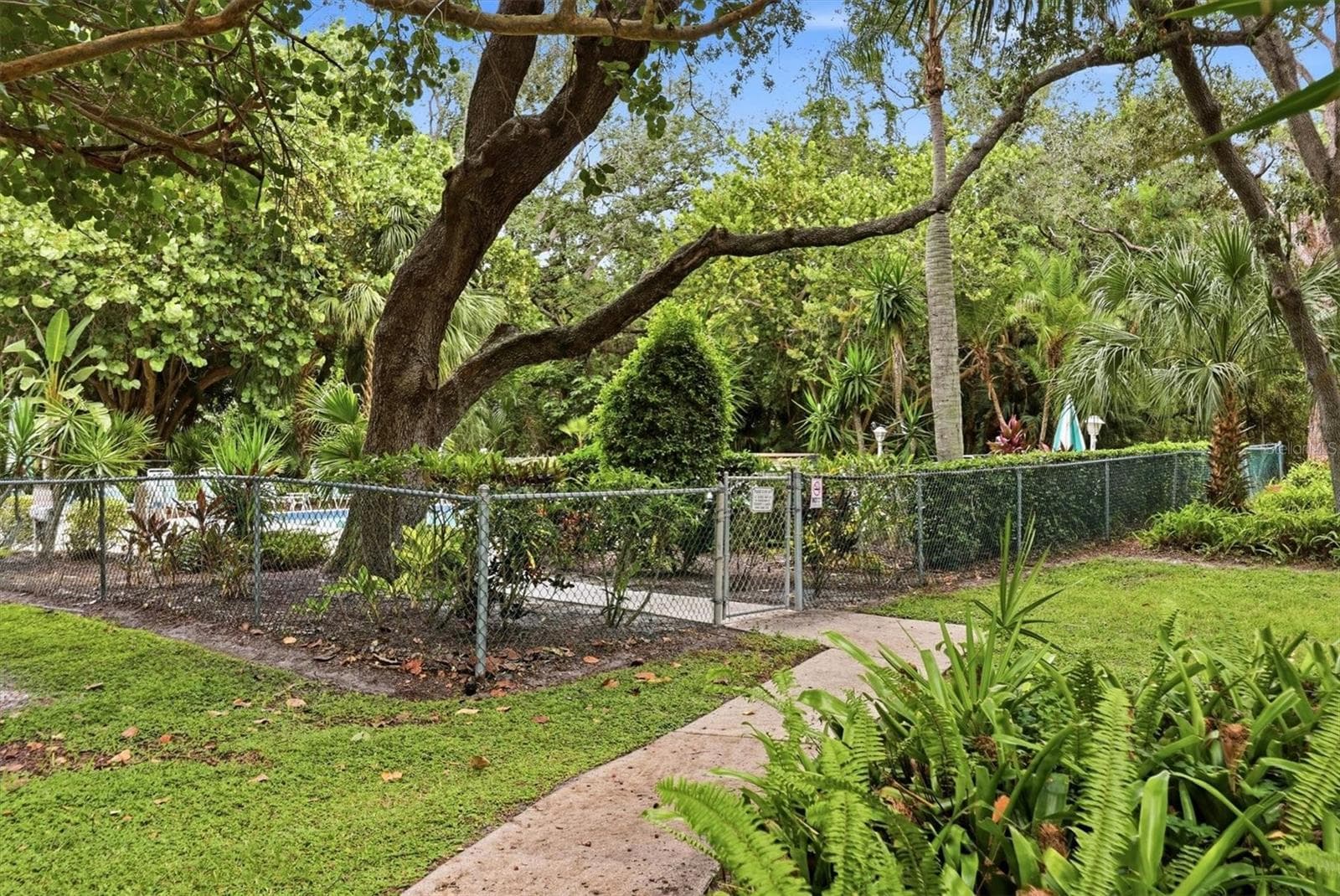 Pool Area - 509 LAKESIDE DR #509, BRADENTON