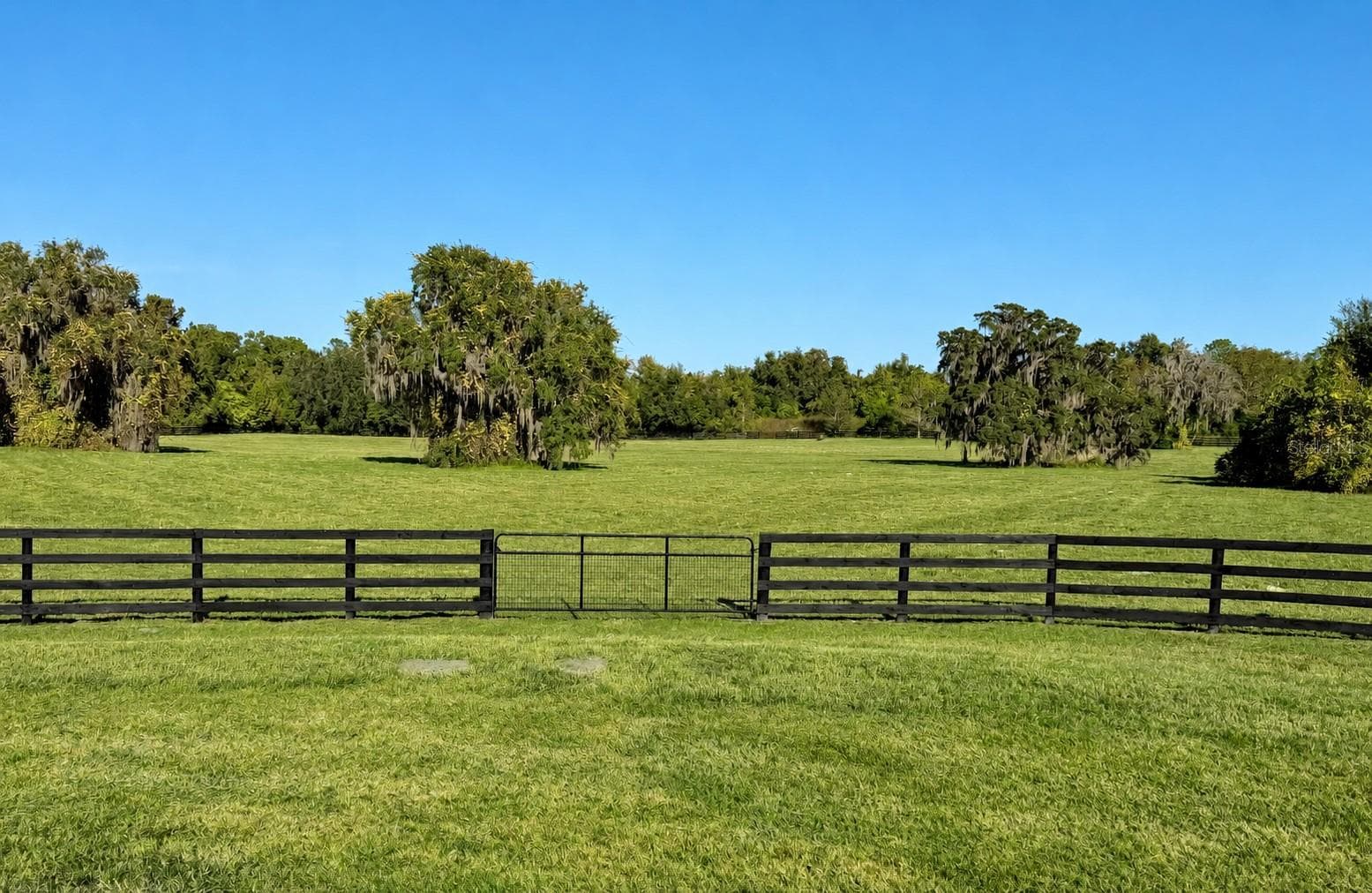 Land at 0 SE 116TH PL, OCALA, photo 2 of 9