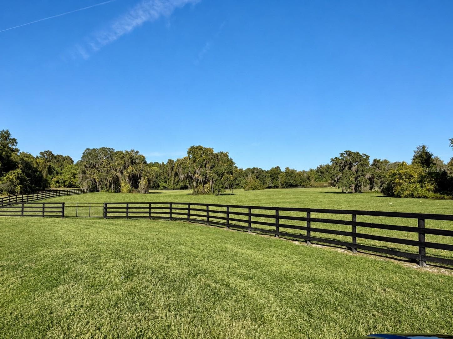 Land at 0 SE 116TH PL, OCALA, photo 3 of 9