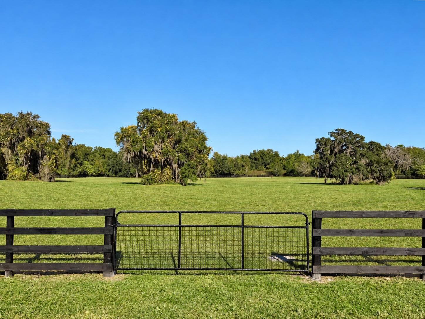 Land at 0 SE 116TH PL, OCALA, photo 5 of 9