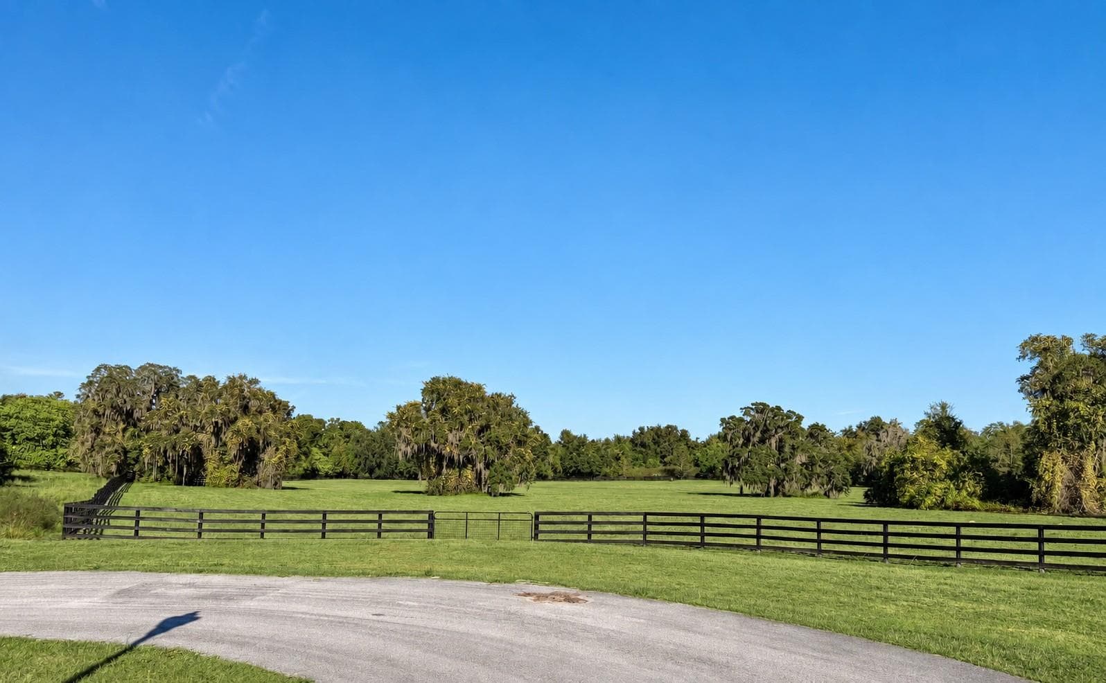 Land at 0 SE 116TH PL, OCALA, photo 9 of 9