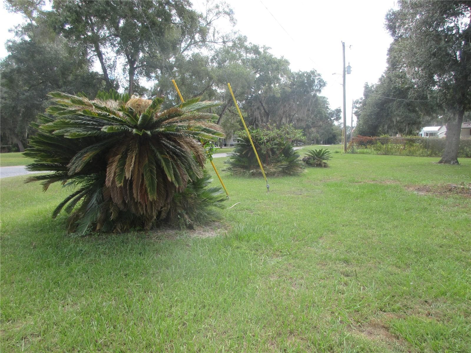 Mobile Home at 1742 SE 169TH TERRACE RD, SILVER SPRINGS, photo 9 of 91