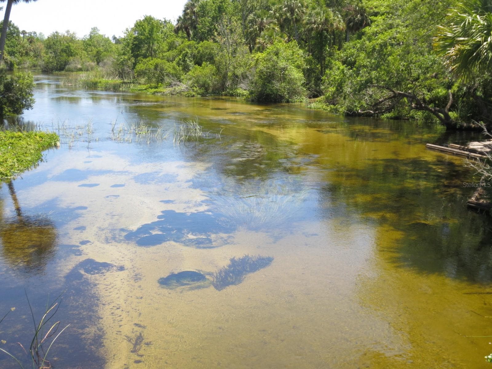 OCALA NATIONAL FOREST ACTIVITIES - 1742 SE 169TH TERRACE RD, SILVER SPRINGS