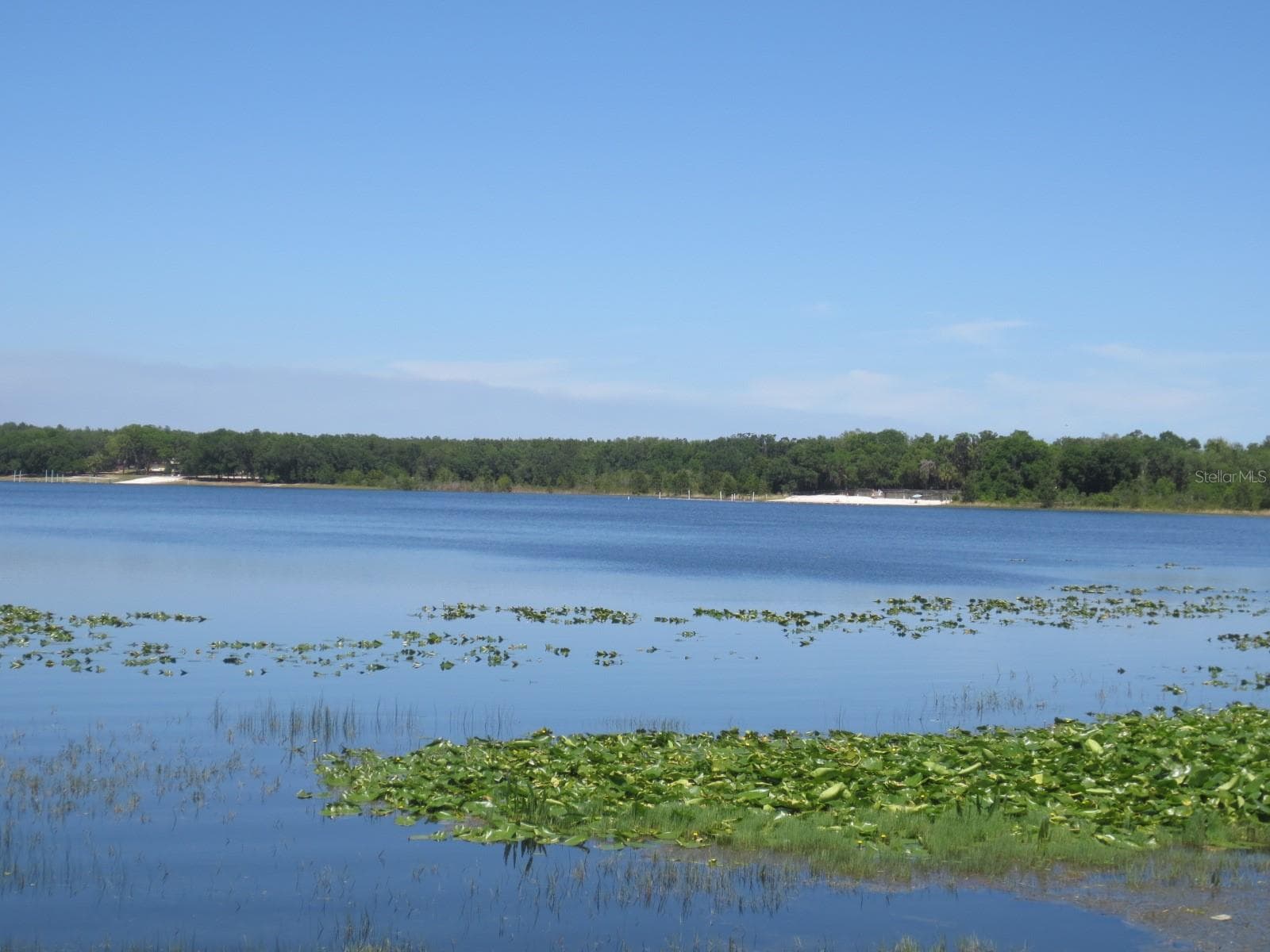 OCALA NATIONAL FOREST ACTIVITIES - 1742 SE 169TH TERRACE RD, SILVER SPRINGS