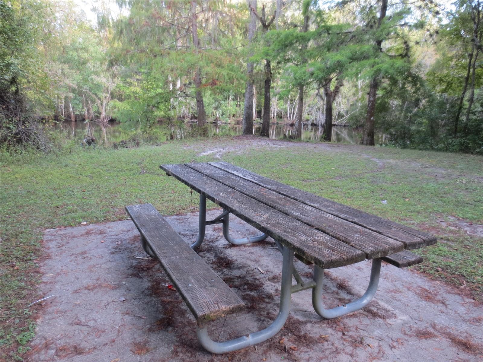 OCALA NATIONAL FOREST ACTIVITIES - 1742 SE 169TH TERRACE RD, SILVER SPRINGS