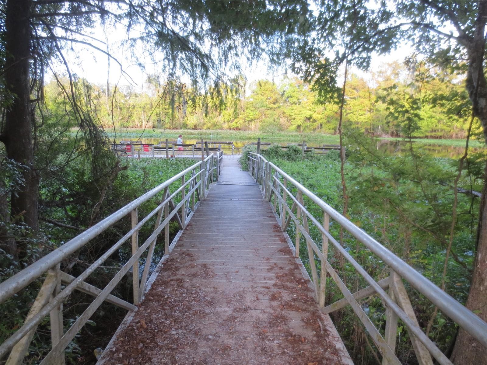 OCALA NATIONAL FOREST ACTIVITIES - 1742 SE 169TH TERRACE RD, SILVER SPRINGS