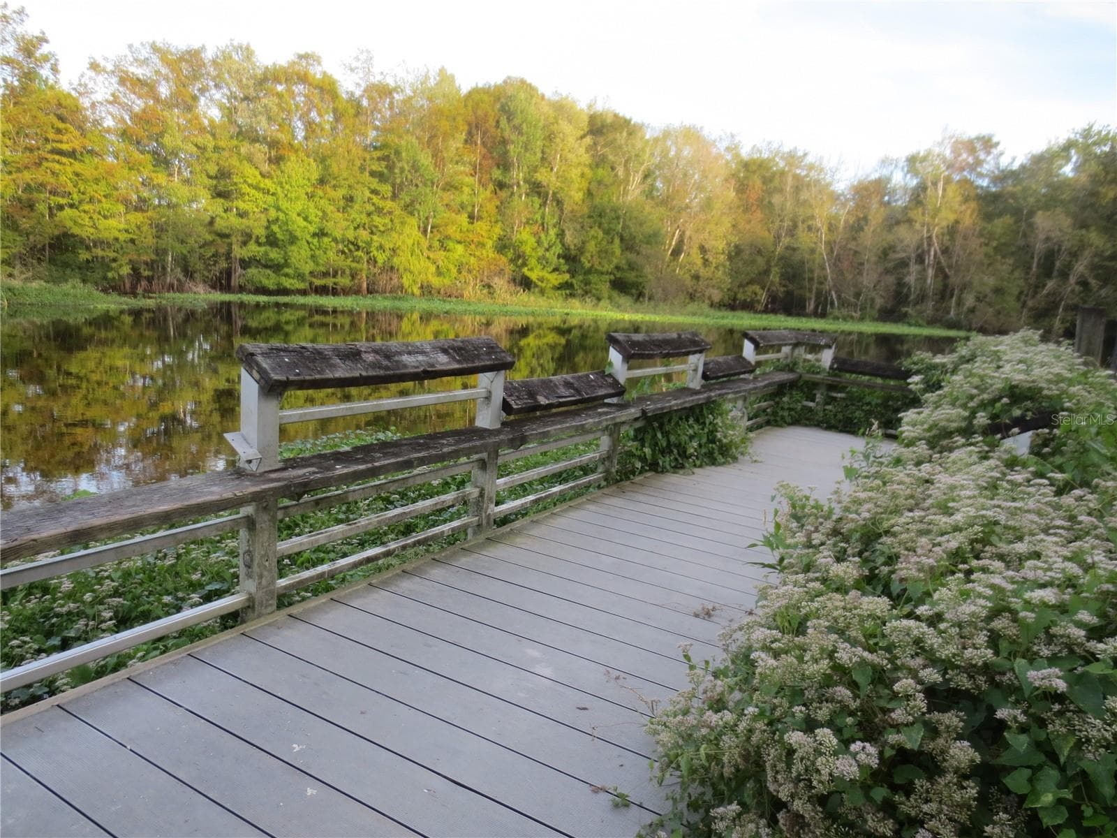 OCALA NATIONAL FOREST ACTIVITIES - 1742 SE 169TH TERRACE RD, SILVER SPRINGS