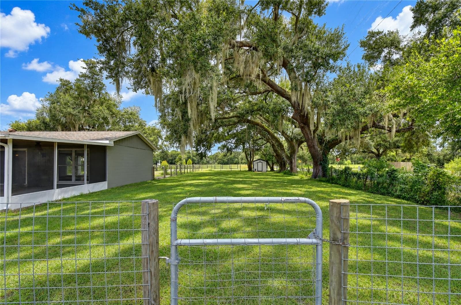 Fenced side yard with chicken coop! - 3712 GALLAGHER RD, PLANT CITY