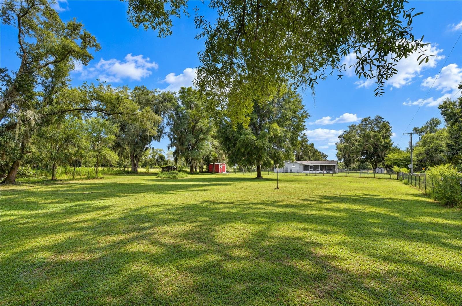 Animals are welcome on the property! - 3712 GALLAGHER RD, PLANT CITY