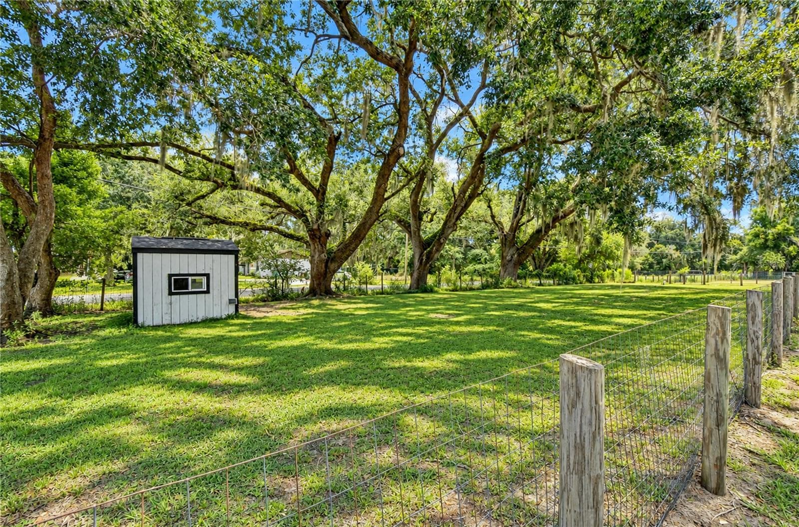 Side yard with chicken coop! - 3712 GALLAGHER RD, PLANT CITY