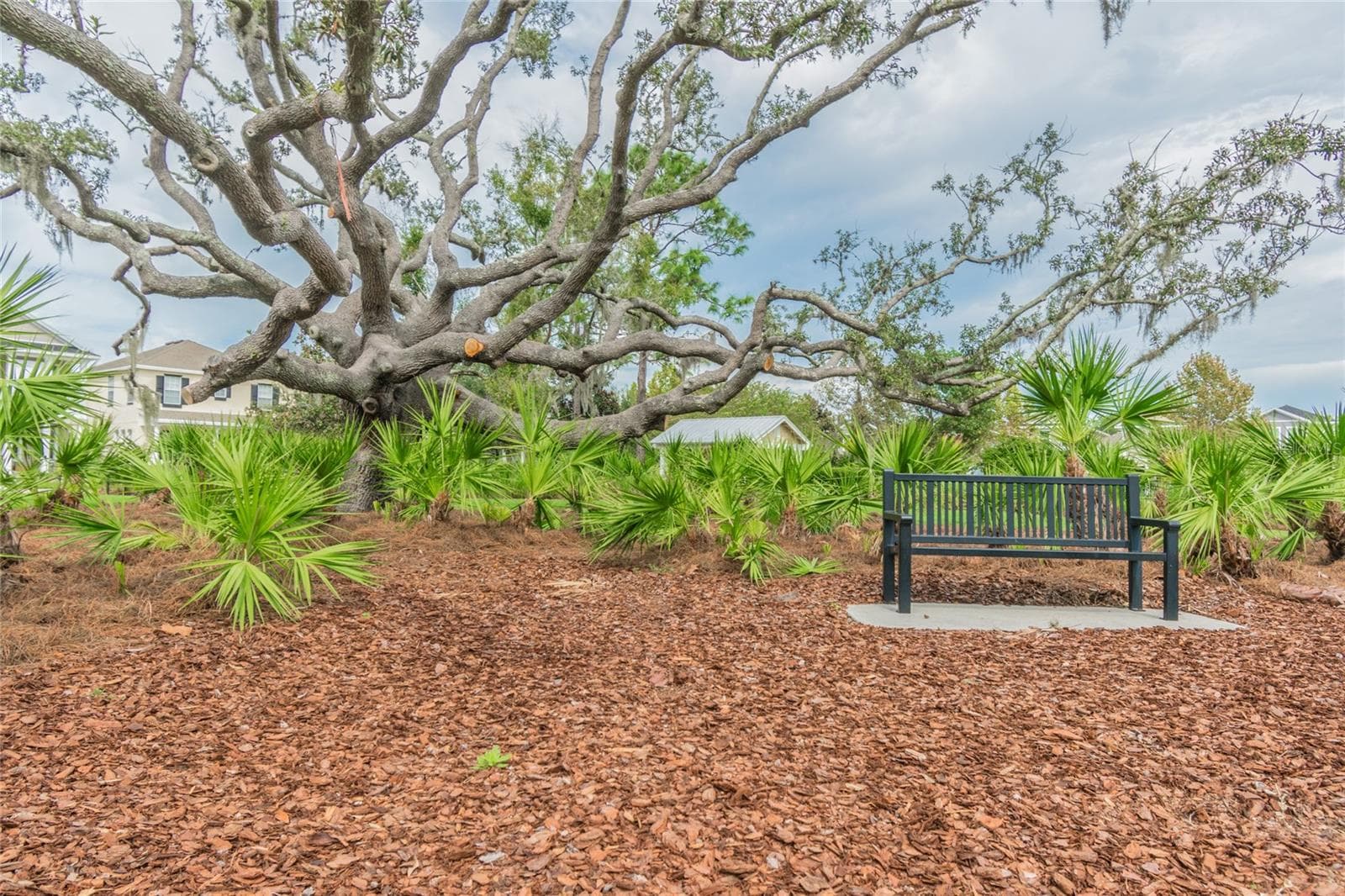 Townhouse at 10645 MARSHA DR, NEW PORT RICHEY, photo 47 of 65