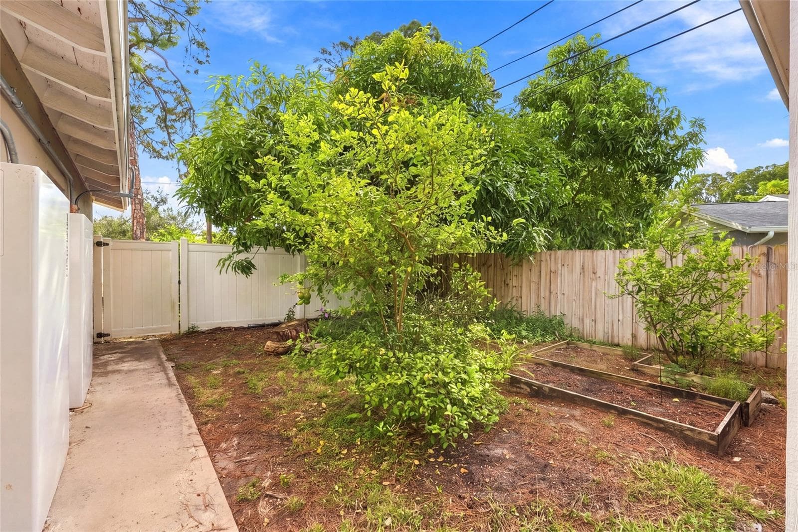 Backyard - 8030 5TH ST N, ST PETERSBURG