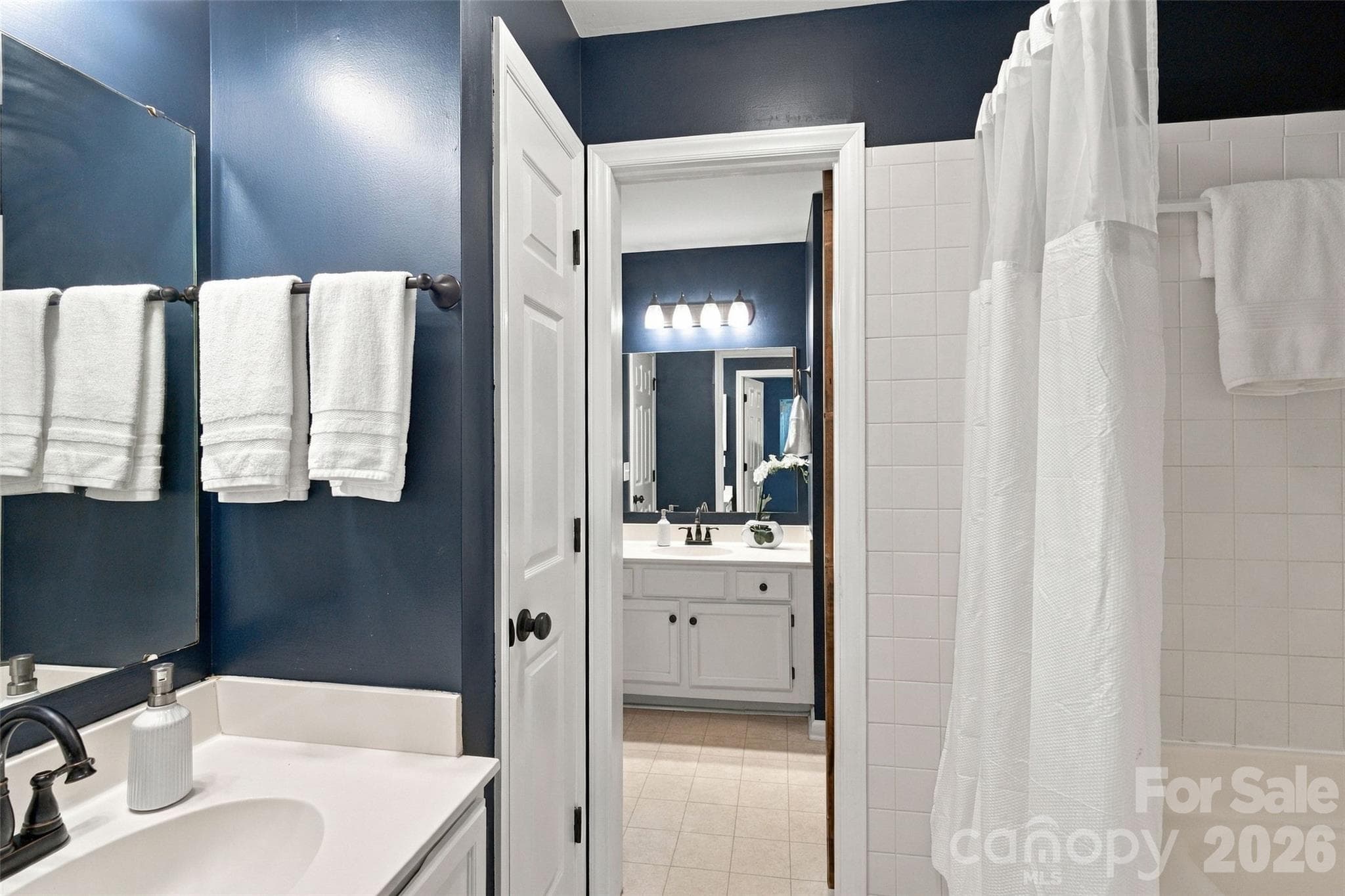 Primary bath with separate vanity area and rich navy walls - 762 Marsh Road, Charlotte