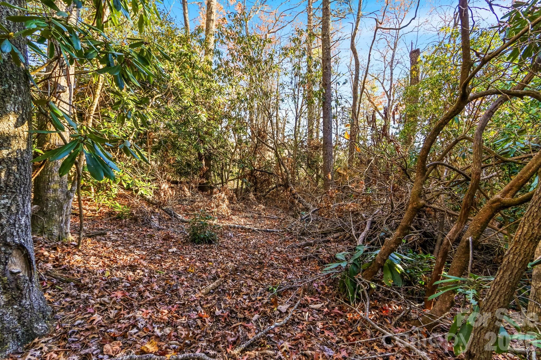 Acreage at TBD Midway Road, Linville Falls, photo 2 of 23