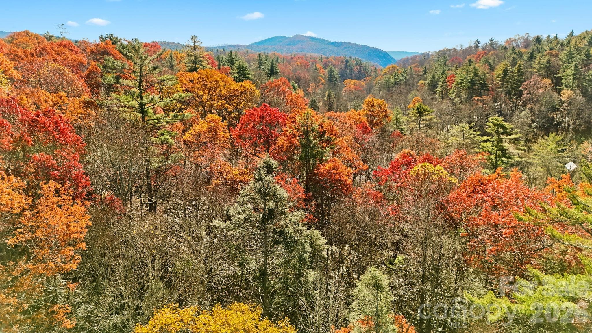 Acreage at TBD Midway Road, Linville Falls, photo 3 of 23