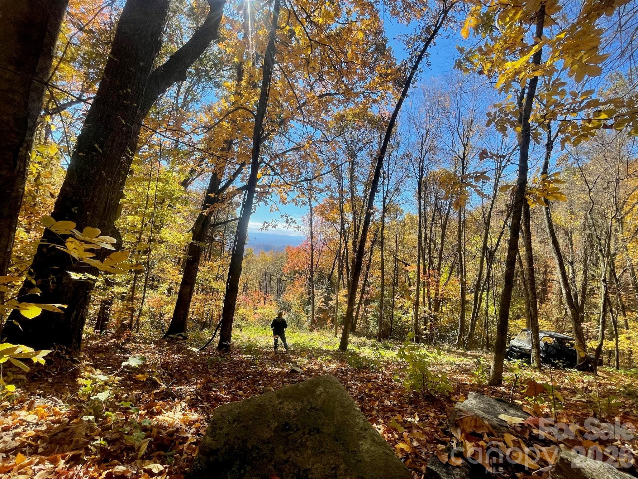 Lot at Hendersonville, photo 2 of 18