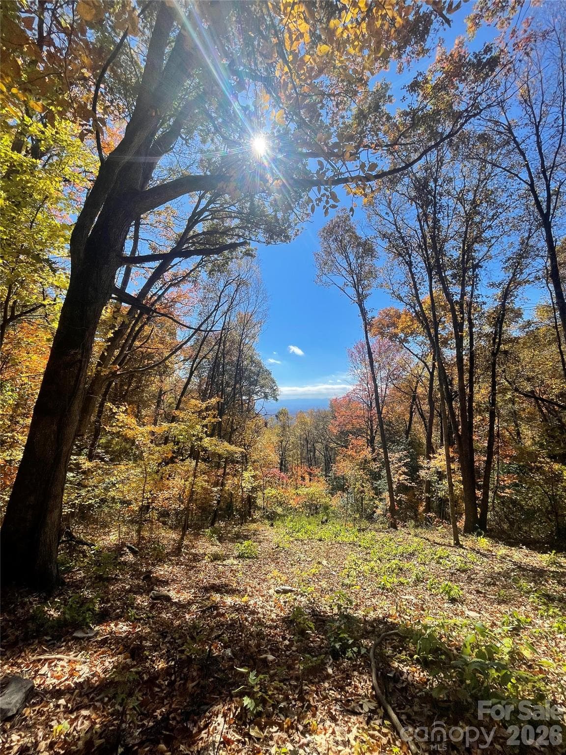 Lot at Hendersonville, photo 4 of 18