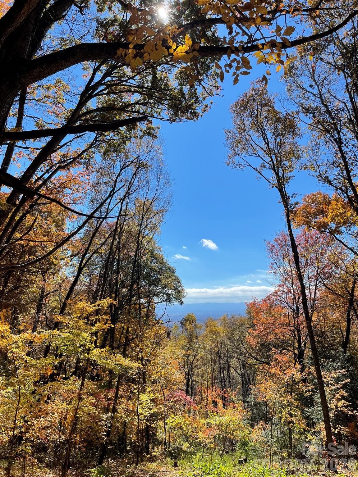 Lot at Hendersonville, photo 6 of 18