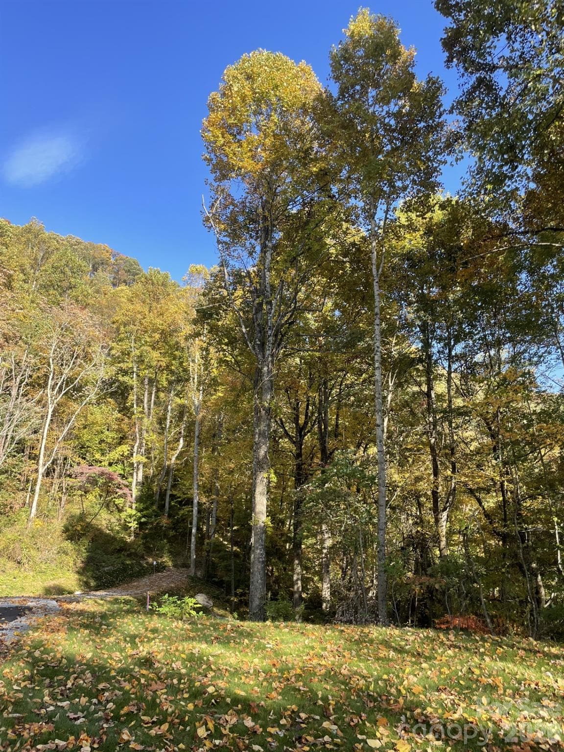 private driveway into the homesite - Hendersonville