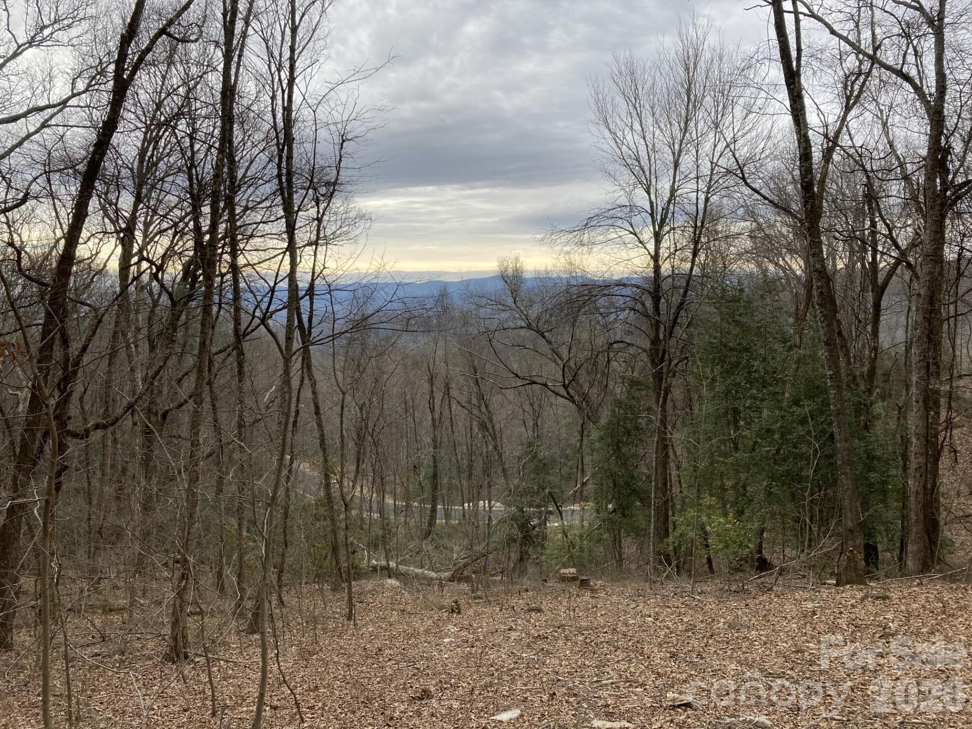 winter mountains - Hendersonville