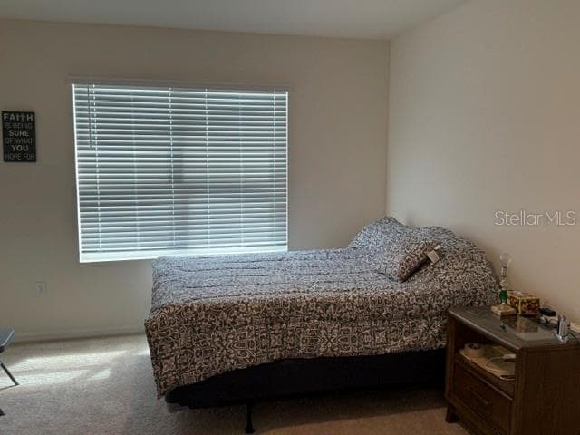 Primary Bed Room - 3818 DIVING DOVE LN, BARTOW